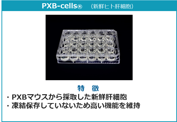 PXB-cells